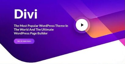 Divi Theme – With Original Username + ApiKey