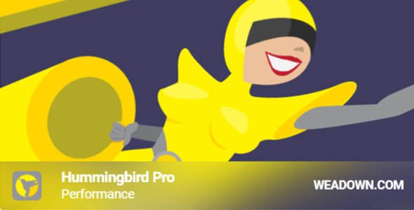 Hummingbird Pro 3.4.0 – Best Caching Plugin