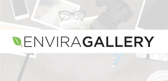 Envira Gallery 1.9.14 (+Addons) – Gallery Plugin